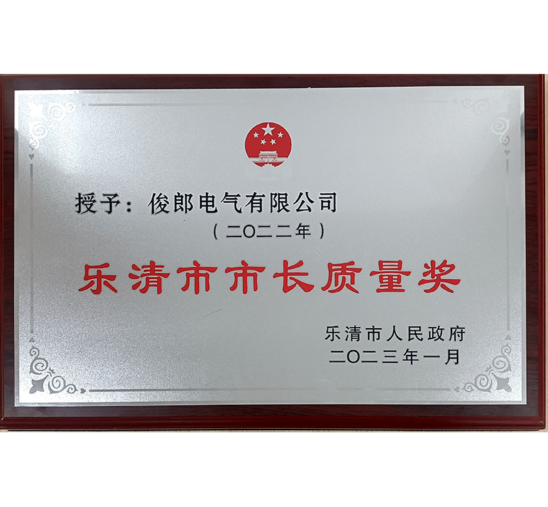乐清市市长质量奖.jpg