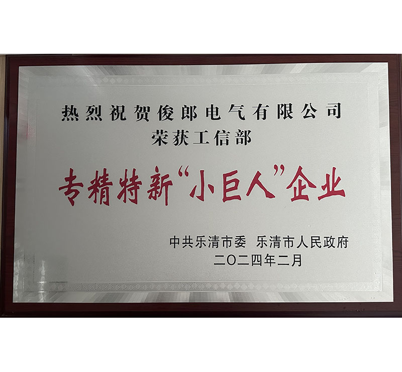 专精特新“小巨人”企业.jpg